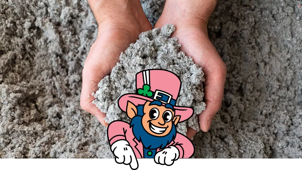 Blown-in Cellulose Insulation Quinn Energy