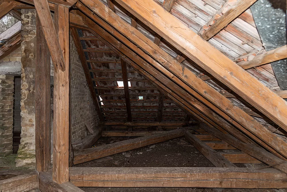 Cellulose Insulation